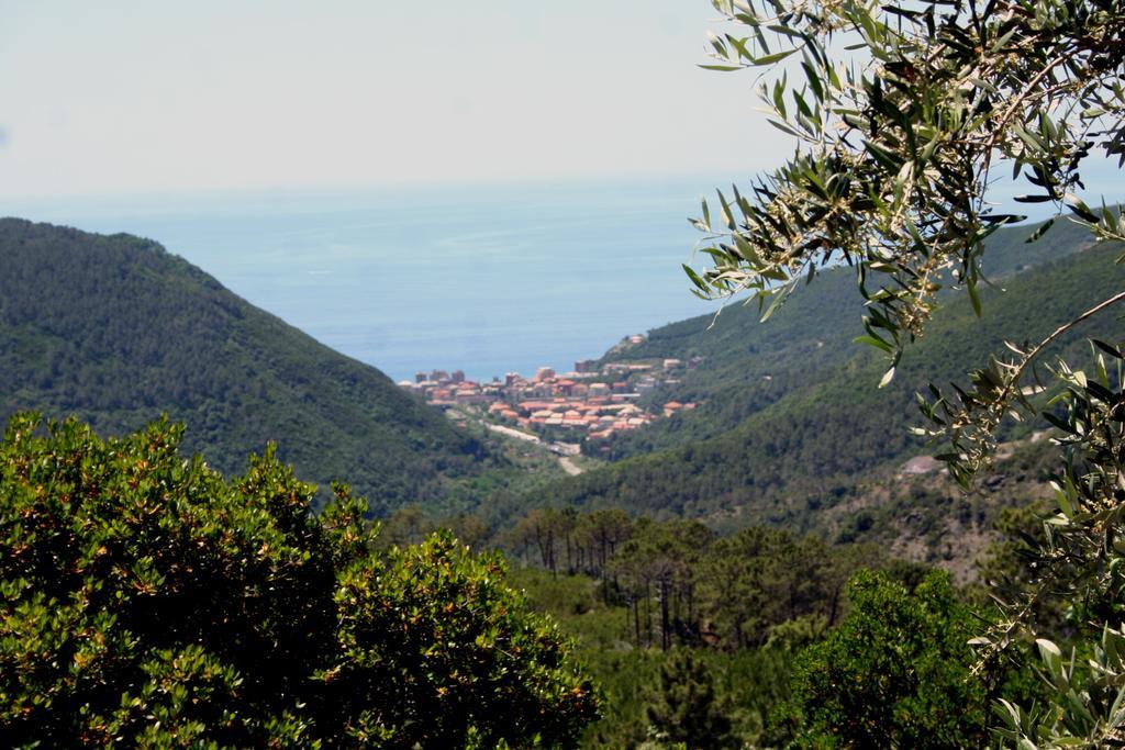 Hotel 5 Terre Nel Sole Deiva Marina Luaran gambar