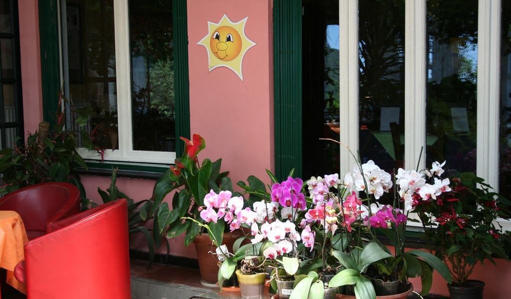 Hotel 5 Terre Nel Sole Deiva Marina Luaran gambar